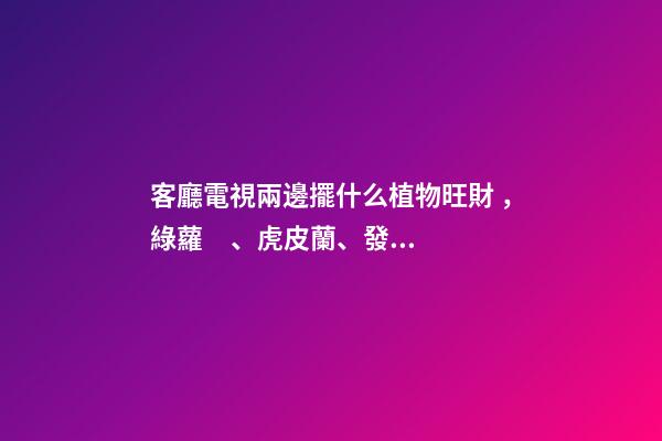 客廳電視兩邊擺什么植物旺財，綠蘿、虎皮蘭、發財樹